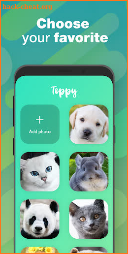 My Talking Pets Free－Make Cat & Dog Talk on Photos screenshot