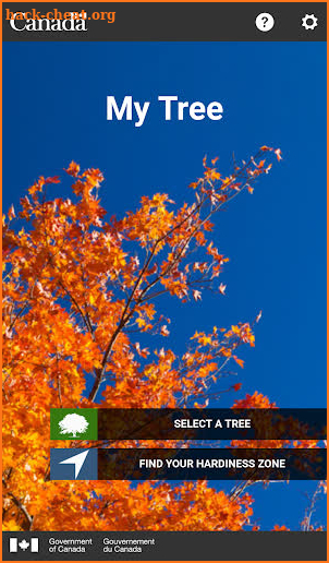 My Tree screenshot