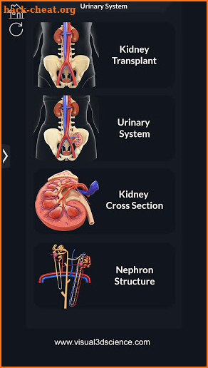 My Urinary System screenshot