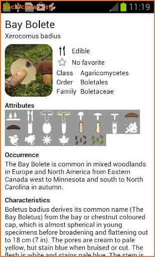 Myco pro - Mushroom Guide screenshot
