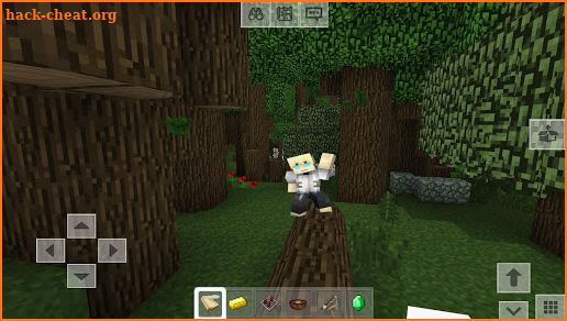 MyCraft: Forte Exploration screenshot