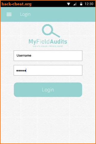 MyFieldAudits – Inspection App screenshot