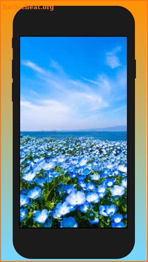 Mzoe3 - Smile flower is a flower that blooms screenshot
