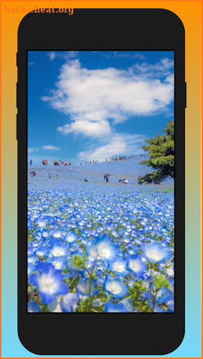 Mzoe3 - Smile flower is a flower that blooms screenshot