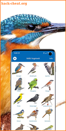 NABU Vogelwelt - Vögel Entdecken und Bestimmen screenshot