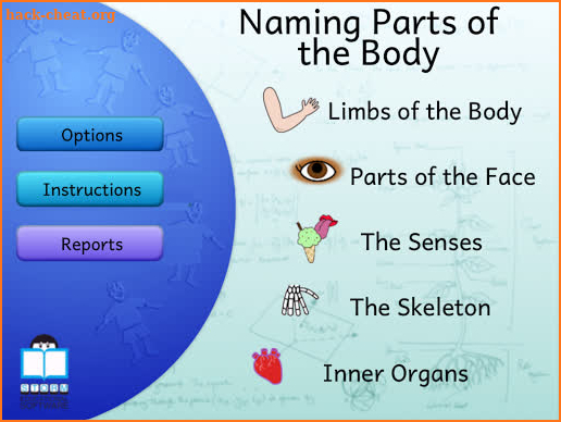Naming Parts of the Body screenshot