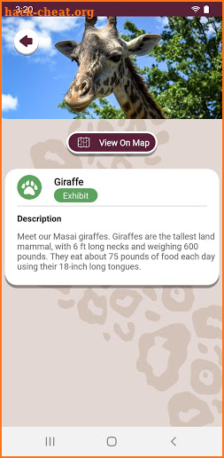 Nashville Zoo screenshot