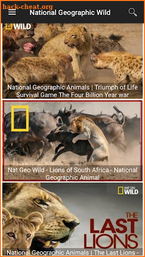 Nat Geo Wild Channel screenshot