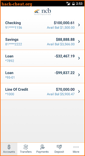 National Coop Bank screenshot