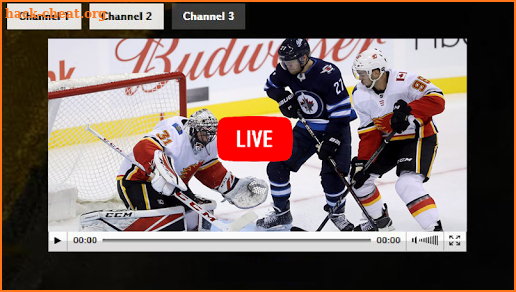 National Hockey League - NHL Live Schedules screenshot