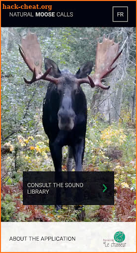 Natural Moose Calls screenshot