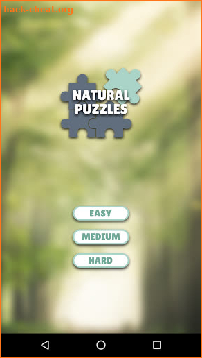 Natural puzzles screenshot