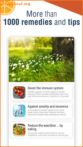 Natural Remedies: healthy life screenshot