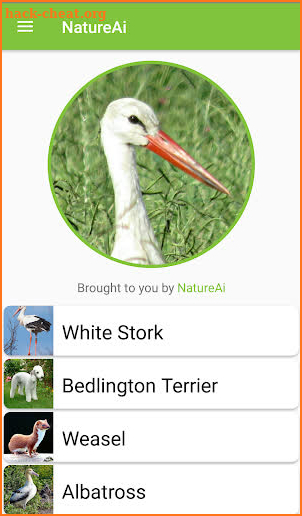 Nature Identification - Birds, Animals & Fish screenshot