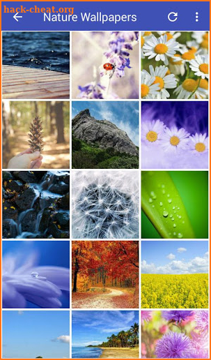 Nature Wallpapers HD screenshot