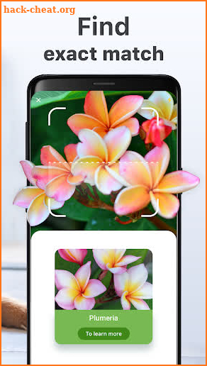 NatureID: Identify plant, flower, tree, cat & dog! screenshot