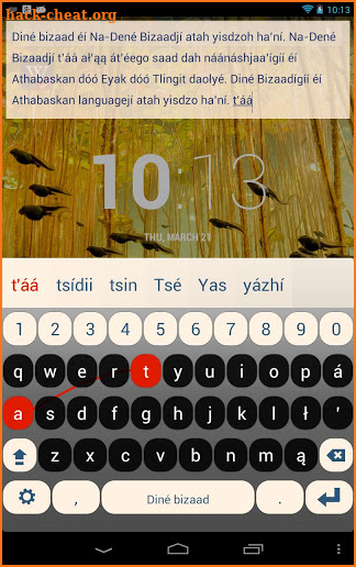 Navajo Keyboard Plugin screenshot