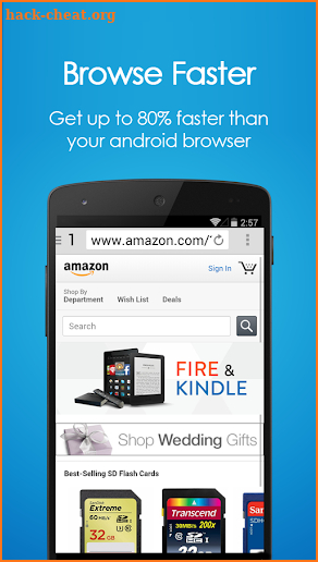 Navi Browser screenshot