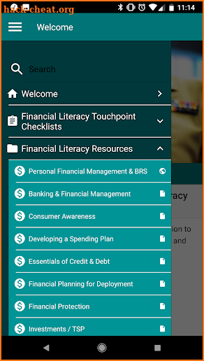 Navy Financial Literacy screenshot