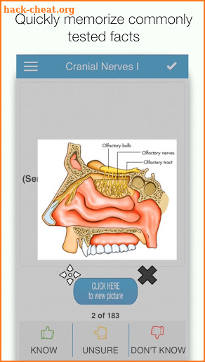 NBDE & iNBDE Dental Boards - Anatomy screenshot