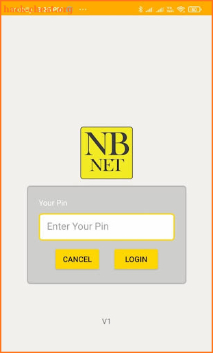 NBNet VPN screenshot