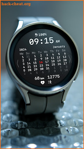 nbWatch: Calendar Pro screenshot