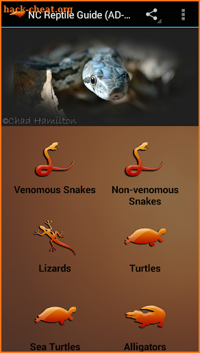 NC Reptile Guide (AD-FREE) screenshot