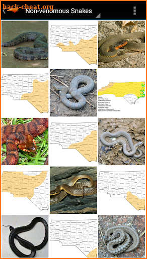 NC Reptile Guide (AD-FREE) screenshot