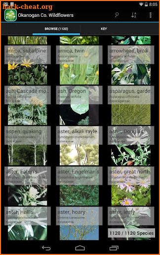 Nebraska Plants screenshot