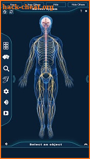 Nervous System Anatomy Pro. screenshot