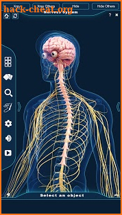 Nervous System Anatomy Pro. screenshot