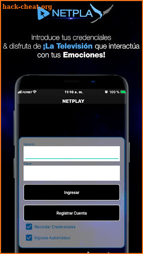 Netplay screenshot