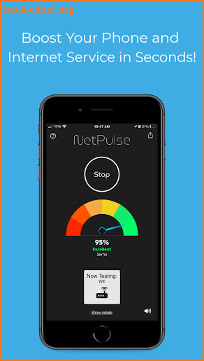 NetPulse screenshot