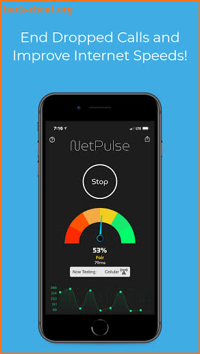NetPulse screenshot