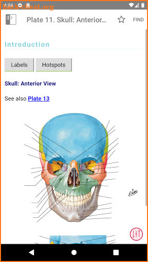 Netter's Atlas of Human Anatomy screenshot