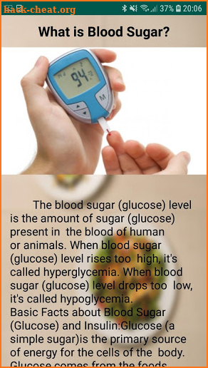 New Blood Sugar Diet screenshot