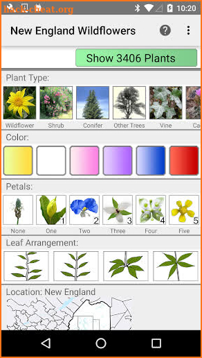 New England Wildflowers screenshot