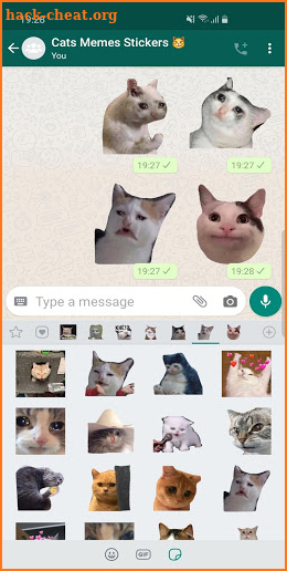 New Funny Cat Memes Stickers WAStickerApps screenshot