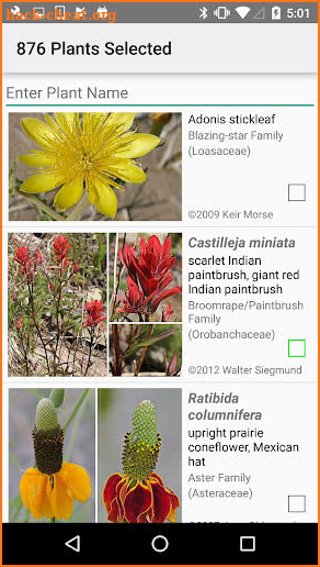 New Mexico Wildflowers screenshot
