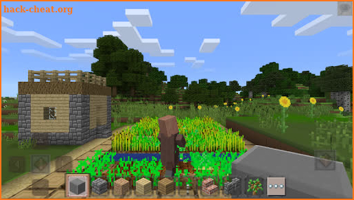 New Mini Craft Survival 3D Game screenshot