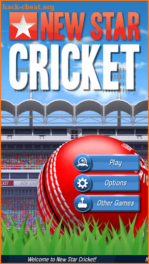 New Star Cricket screenshot