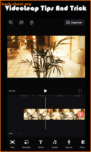 New VideoLeap Editor Tips And Trick screenshot