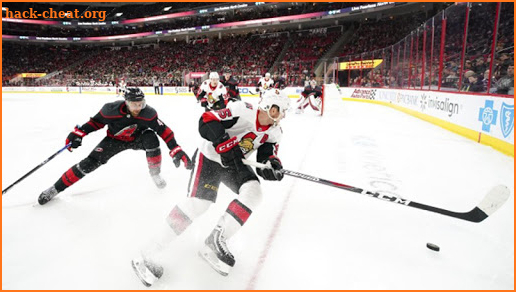 NHL Hockey Stream screenshot