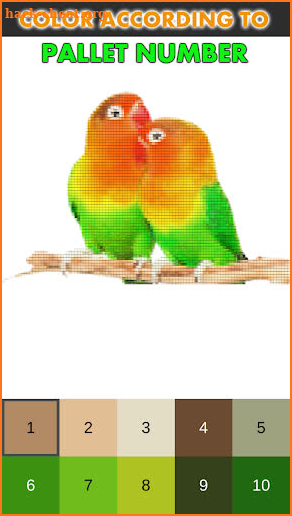 Nice Birds Pixel Art: Coloring By number screenshot