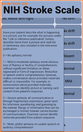 NIH Stroke Scale screenshot