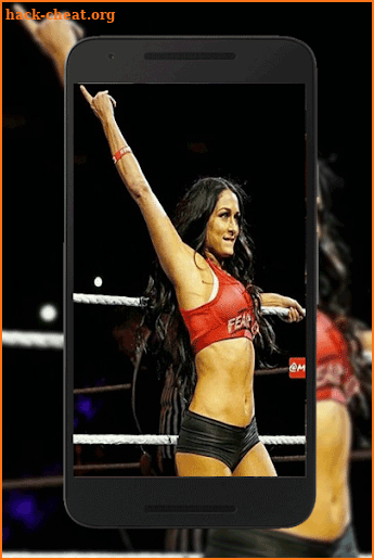 Nikki WWE Bella Wallpaper FULL HD screenshot