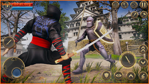 Ninja Assassin Shadow Fighter screenshot