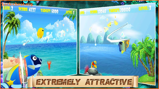 Ninja Fish - Fish Cut screenshot