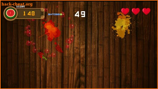 Ninja Fruit Master screenshot