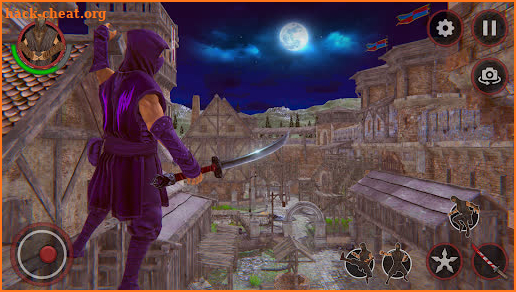 Ninja Samurai Assassins Creed screenshot